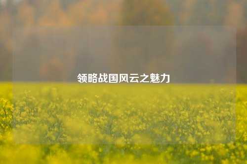 领略战国风云之魅力