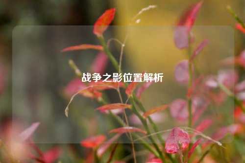 战争之影位置解析