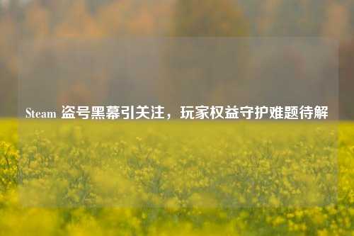Steam 盗号黑幕引关注，玩家权益守护难题待解
