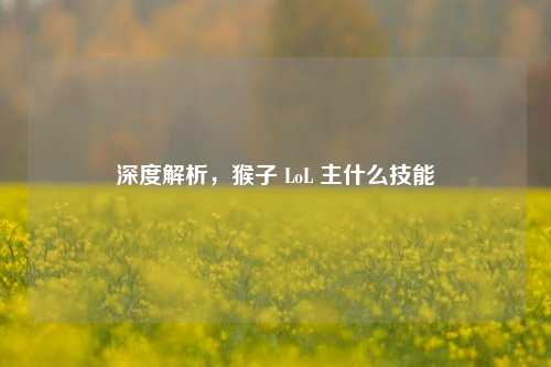 深度解析，猴子 LoL 主什么技能