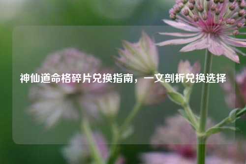 神仙道命格碎片兑换指南,一文剖析兑换选择