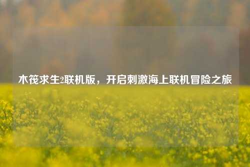 木筏求生2联机版，开启刺激海上联机冒险之旅