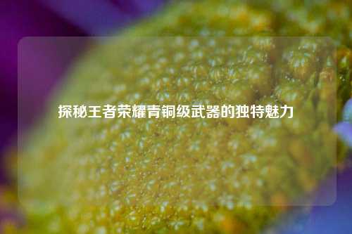探秘王者荣耀青铜级武器的独特魅力