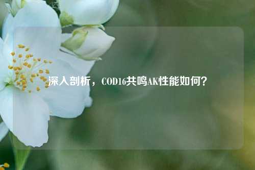 深入剖析，COD16共鸣AK性能如何？