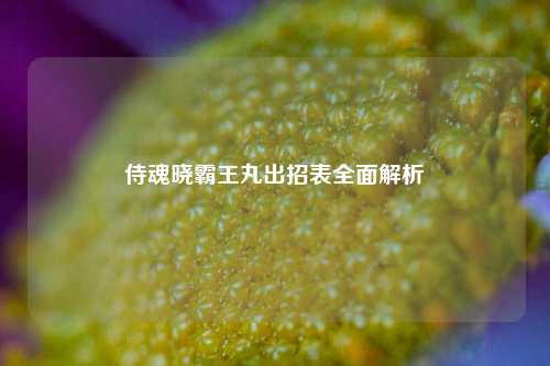 侍魂晓霸王丸出招表全面解析