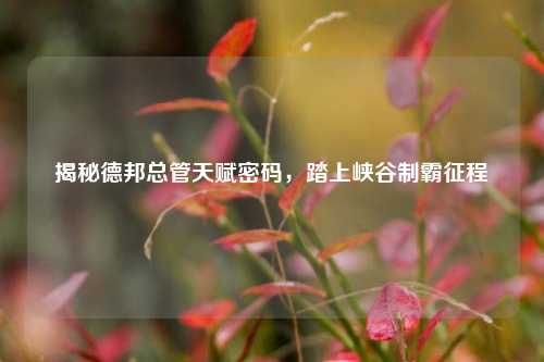揭秘德邦总管天赋密码，踏上峡谷制霸征程