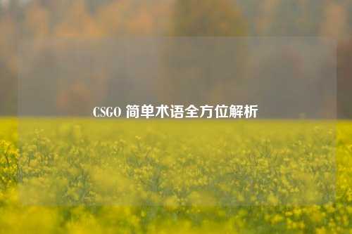 CSGO 简单术语全方位解析