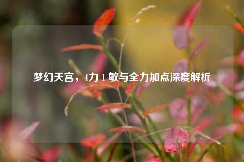 梦幻天宫，4力 1 敏与全力加点深度解析