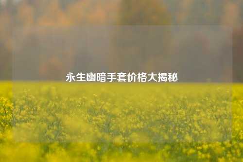 永生幽暗手套价格大揭秘