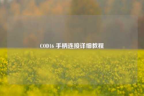COD16 手柄连接详细教程
