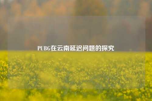 PUBG在云南延迟问题的探究