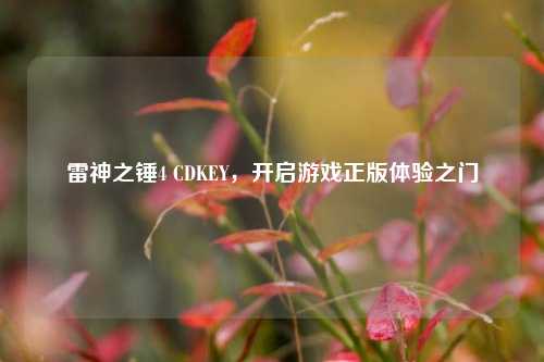 雷神之锤4 CDKEY，开启游戏正版体验之门