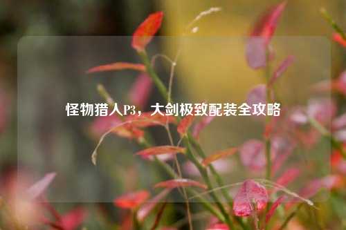 怪物猎人P3，大剑极致配装全攻略