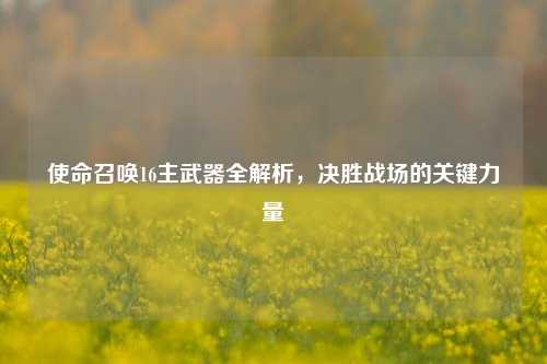 使命召唤16主武器全解析，决胜战场的关键力量