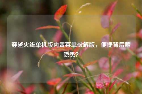 穿越火线单机版内置菜单破解版，便捷背后藏隐患？