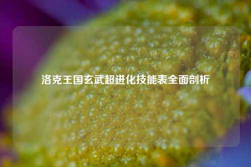 洛克王国玄武超进化技能表全面剖析