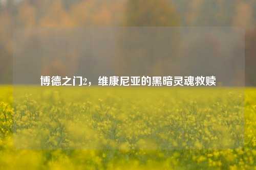 博德之门2，维康尼亚的黑暗灵魂救赎