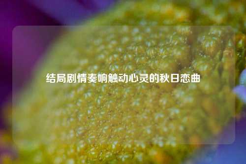 结局剧情奏响触动心灵的秋日恋曲