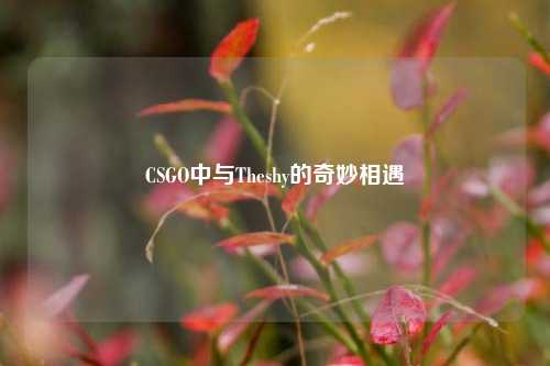CSGO中与Theshy的奇妙相遇