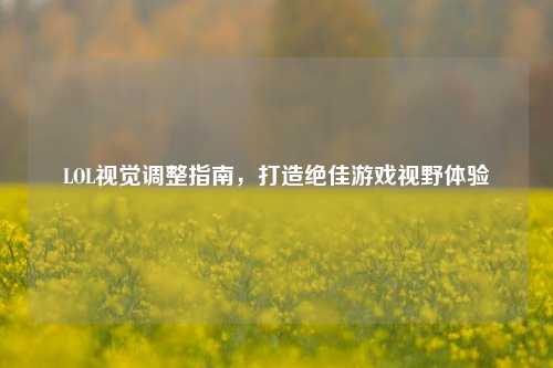 LOL视觉调整指南,打造绝佳游戏视野体验