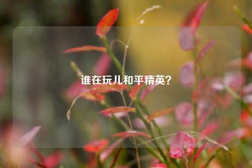 谁在玩儿和平精英？