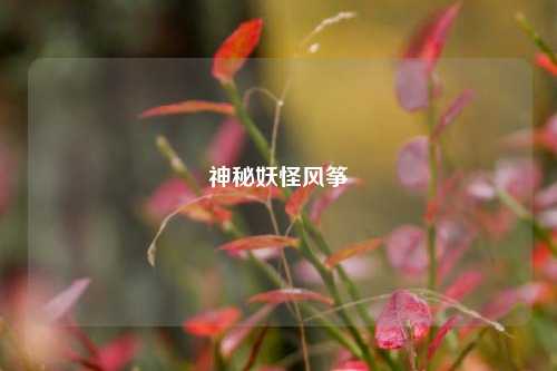 神秘妖怪风筝