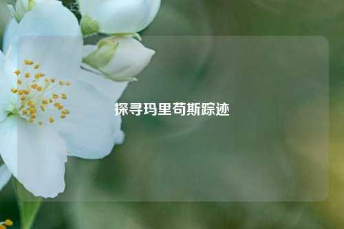 探寻玛里苟斯踪迹