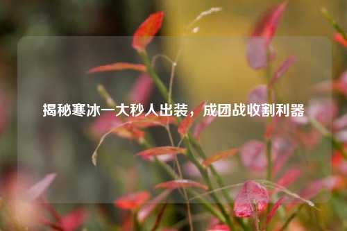 揭秘寒冰一大秒人出装，成团战收割利器