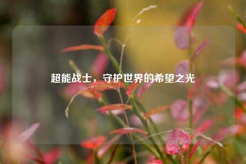 超能战士，守护世界的希望之光