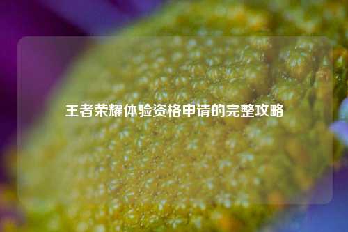 王者荣耀体验资格申请的完整攻略