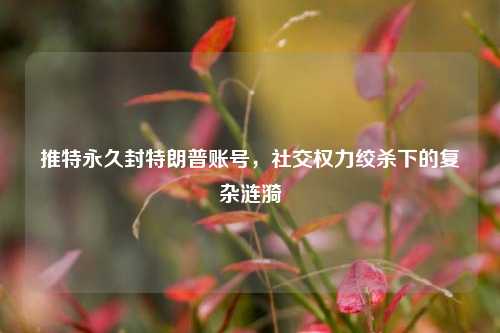 推特永久封特朗普账号,社交权力绞杀下的复杂涟漪