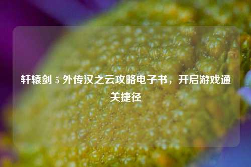 轩辕剑 5 外传汉之云攻略电子书，开启游戏通关捷径
