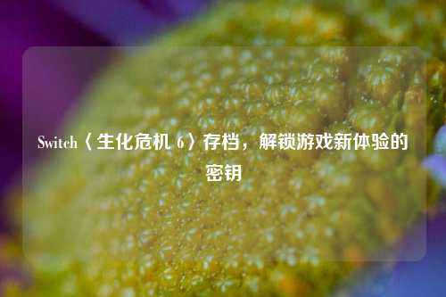 Switch〈生化危机 6〉存档，解锁游戏新体验的密钥
