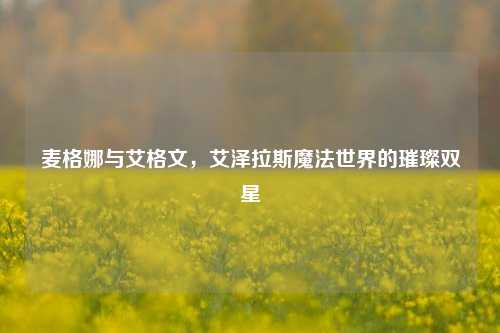 麦格娜与艾格文，艾泽拉斯魔法世界的璀璨双星