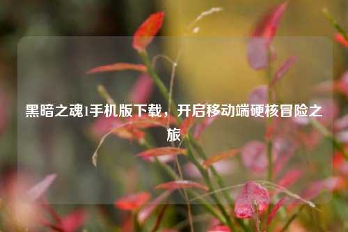 黑暗之魂1手机版下载，开启移动端硬核冒险之旅