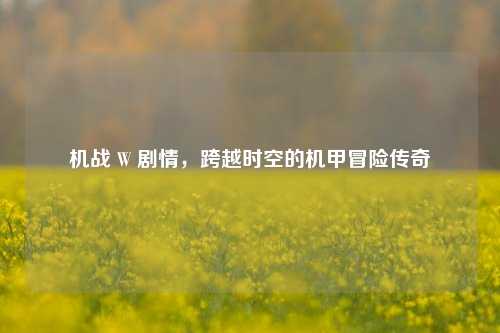 机战 W 剧情，跨越时空的机甲冒险传奇