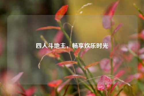 四人斗地主，畅享欢乐时光