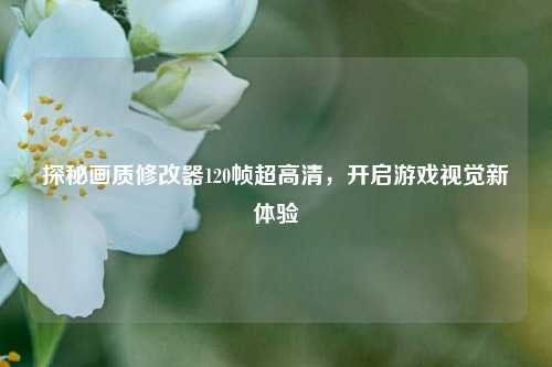 探秘画质修改器120帧超高清，开启游戏视觉新体验