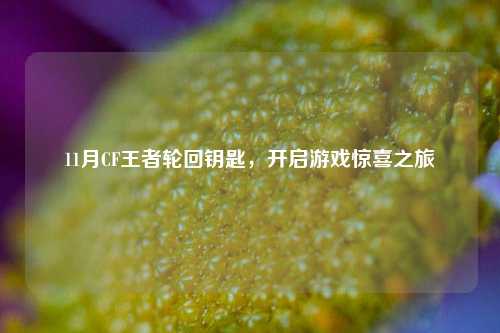 11月CF王者轮回钥匙，开启游戏惊喜之旅