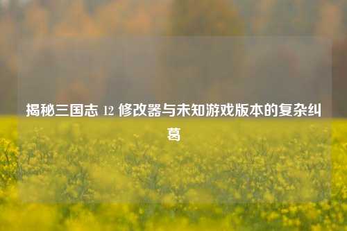 揭秘三国志 12 修改器与未知游戏版本的复杂纠葛