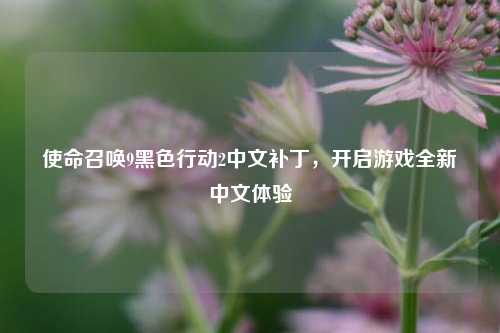 使命召唤9黑色行动2中文补丁,开启游戏全新中文体验