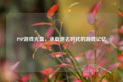 PSP游戏光盘,承载逝去时代的游戏记忆