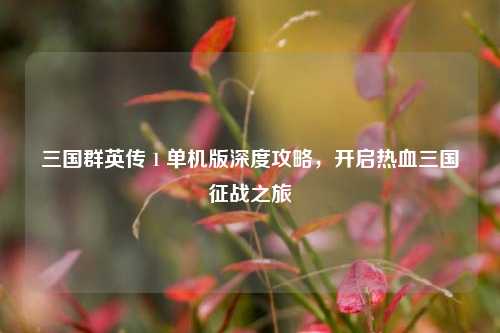 三国群英传 1 单机版深度攻略，开启热血三国征战之旅
