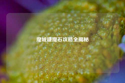 魔域赚魔石攻略全揭秘
