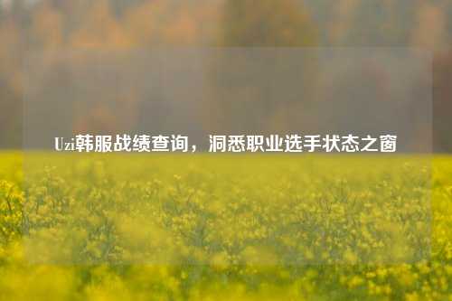 Uzi韩服战绩查询，洞悉职业选手状态之窗