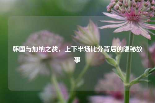 韩国与加纳之战,上下半场比分背后的隐秘故事