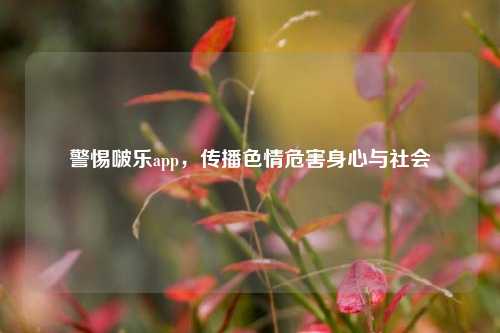 警惕啵乐app,传播色情危害身心与社会