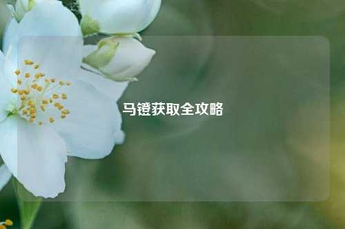 马镫获取全攻略