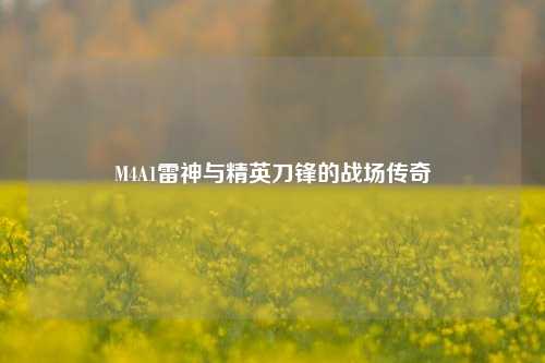 M4A1雷神与精英刀锋的战场传奇