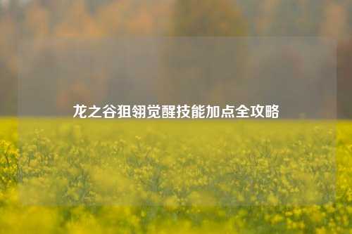 龙之谷狙翎觉醒技能加点全攻略